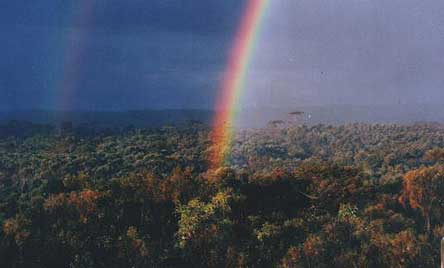 Double rainbow by Yogini