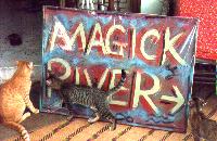 Mouse the Cat moves to Magick River but Underfoot decides to stay in Ampang! (pic by Antares)
